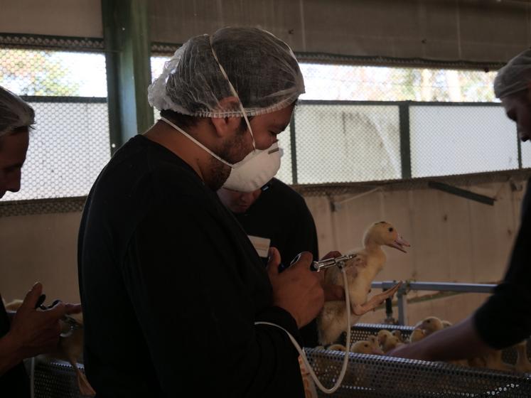 La vaccination se déroule en deux injections.