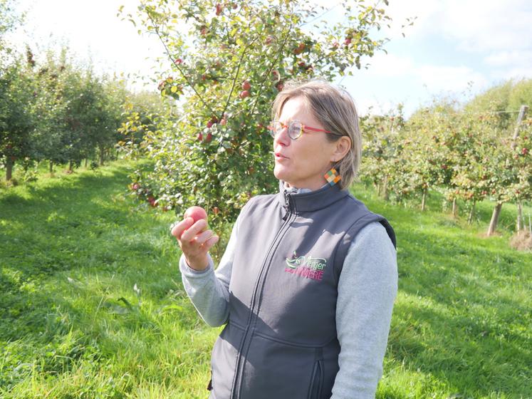 Ingénieur agronome, ancienne conseillère à la Chambre d'agriculture, Sabine Rouart s'est spécifiquement formée à la conduite de verger et à la transformation cidricole.