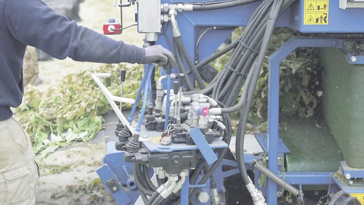 Le broyage des plants légumiers.
