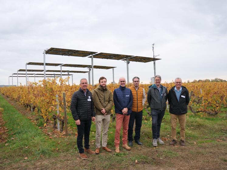 Les partenaires du projet Vitivolt : Xavier Besson (LDDV), James Ronsin-Coumel (Altarea énergies renouvelables), Bertrand Pinel, chef de projet Vitivolt (Terrena Innovation), David Grellier (domaine Château la Varière), Jean-Philippe Priarollo (Terrena Energies).