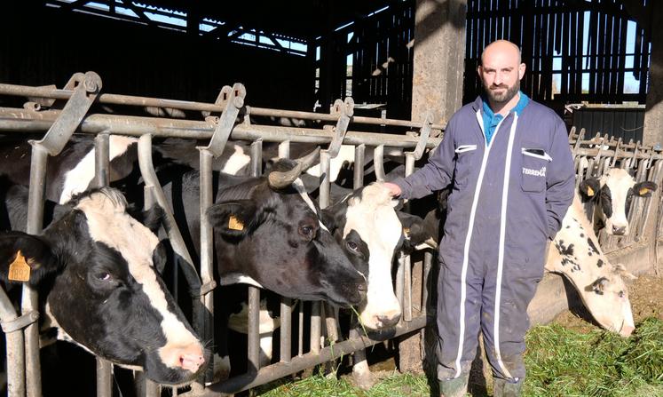 Benoit Frémy et ses vaches prim'holstein.