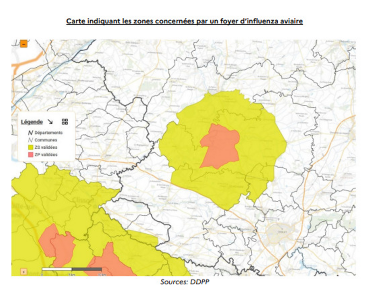 Zones réglementées IAHP dans le Maine-et-Loire et nord-est de la Vendée au 19 novembre 2025.