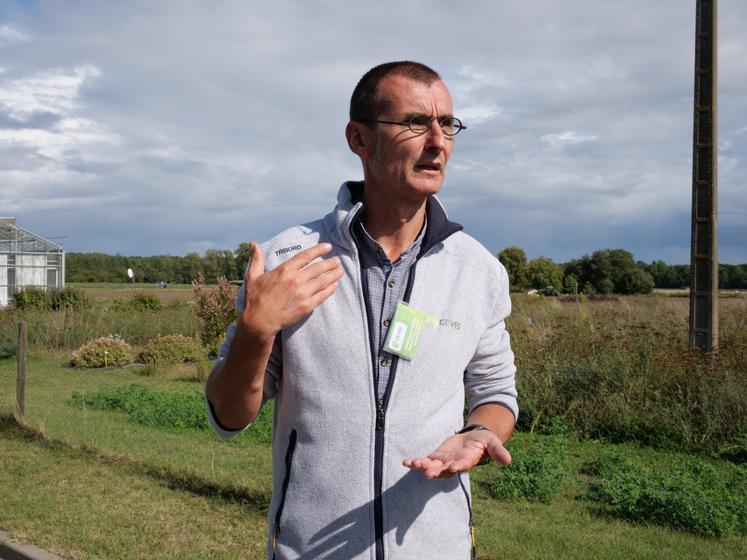 Dominique Rousseau, responsable des essais légumes sur le site de Brion.