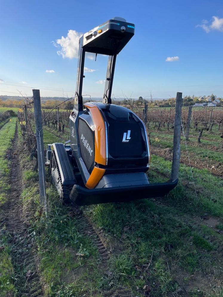 Le RX-20 de la marque Pellenc existe en plusieurs largeurs et s'adapte à différentes conduites de vignoble.