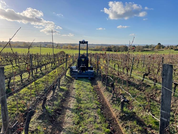 Le domaine, repris en 2006 par la famille Fournier Longchamps, s'attache à promouvoir les innovations, comme ce robot autonome, mais s'intéresse également aux cultures alternatives.