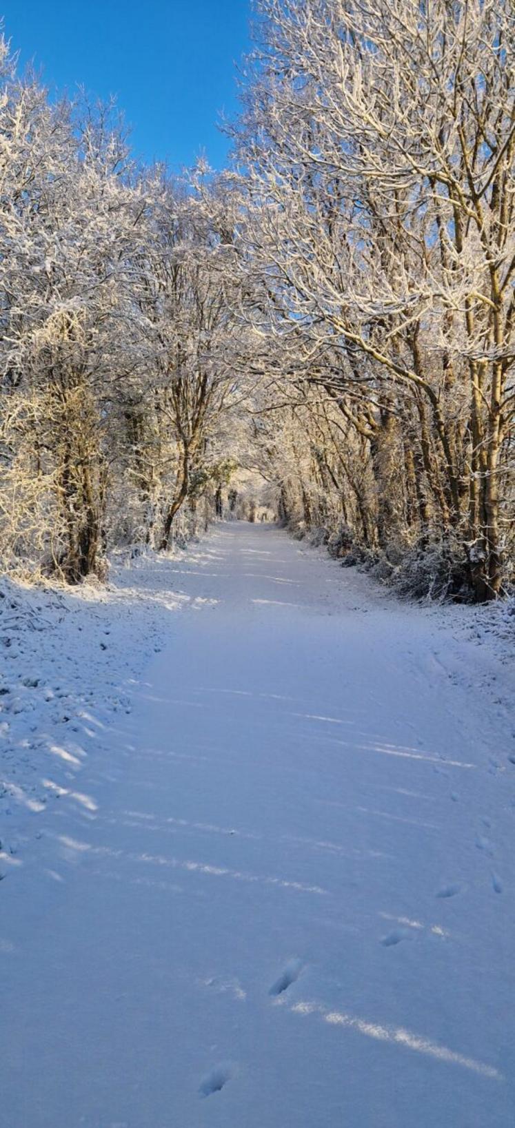 Julien Gremaud a capturé des images exceptionnelles à Saint-Georges-des-Gardes.