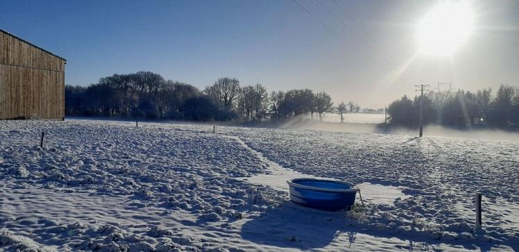 Les animaux ne sont pas sortis chez Xavier Onillon, ce mardi à Bourgneuf-en-Mauges.