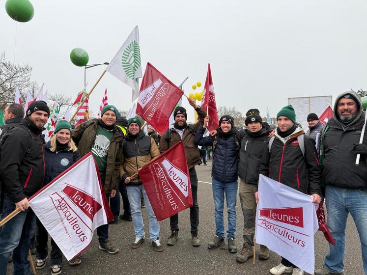 Les groupe des angevins à Strasbourg le 20 janvier 2026.