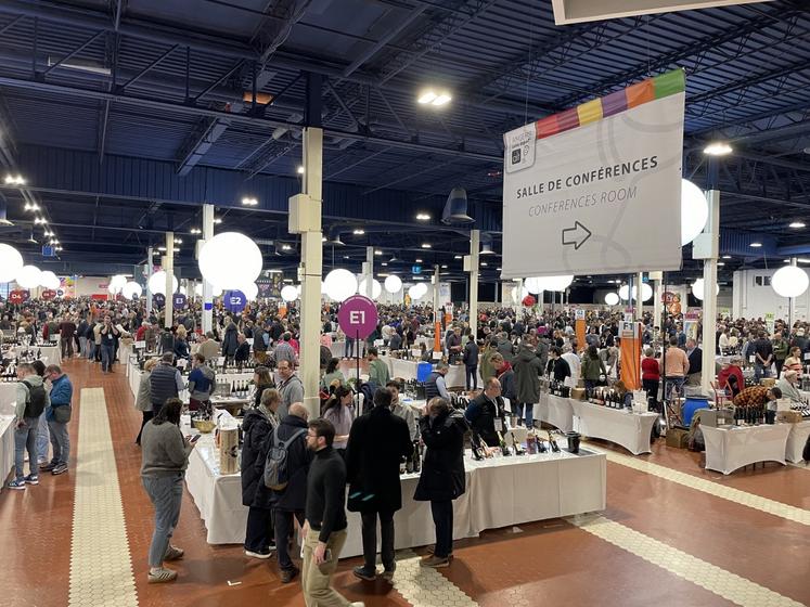 900 exposants, dont la moitié de producteurs de vins de Loire, 280 bouteilles en dégustation dans la zone #fandechenin, et le palais des Ligers pour découvrir les cuvées primées.