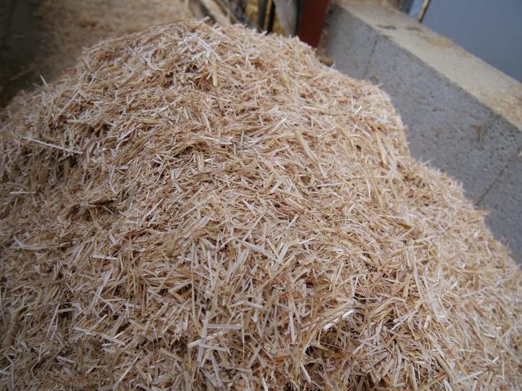 Depuis le passage au lisier, la consommation de paille a été divisée par 5. 