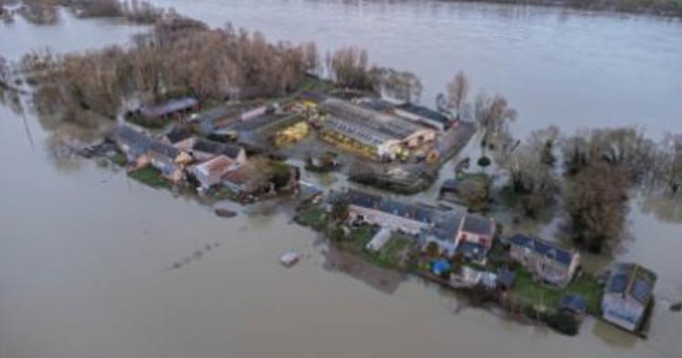L'exploitation de Virginie Juret sur l'île de Chalonnes.