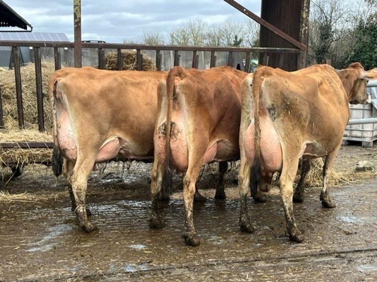 Roxane et ses deux filles.