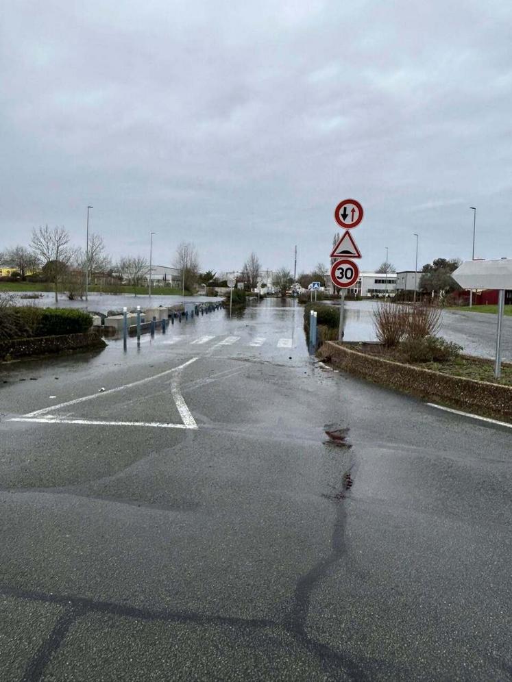 Le parking de la plateforme de Floriloire, aux Ponts-de-Cé, est inondé.