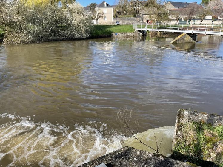 C'est ici, à Brain-sur-l'Authion, que les eaux du Canal 500 sont rejetées dans la rivière.