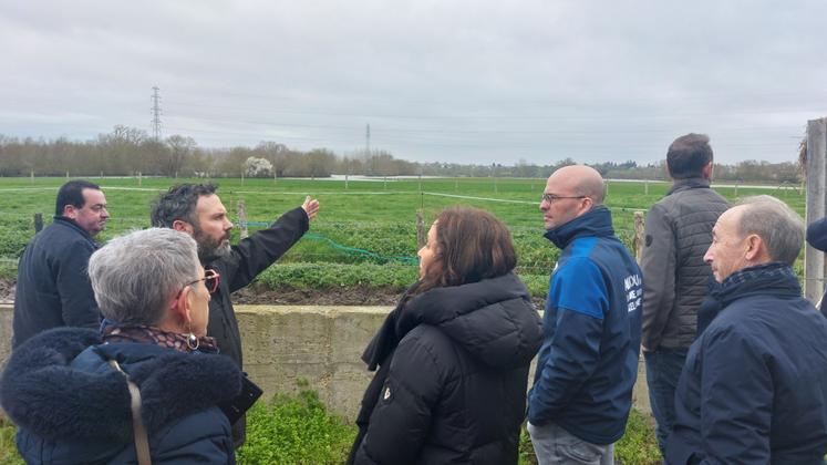 Certaines parcelles de blé de Matthieu Gelineau vont probablement devoir être réimplantées en maïs ce printemps.