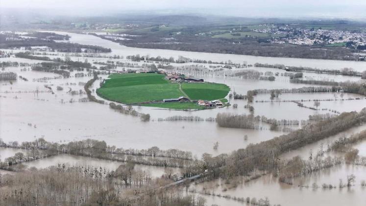 L'élevage laitier de Damien et Benoit Epoudry, à Liré, est cerné par les eaux. Les éleveurs livrent chaque jour leur lait grâce à leur coopérative grâce à un bac agricole. 