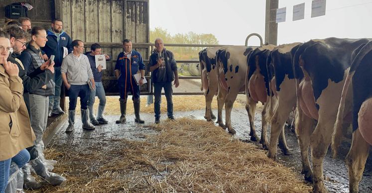 L'éleveur Michel Ménard, du Gaec de la Boissière (au micro) a expliqué ses choix en matière de génétique et Christophe Marais, technicien à Prim'holstein France, a présenté une sélection de quelques vaches.