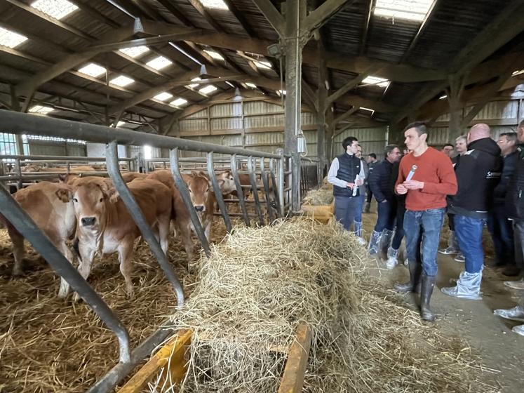 En 2025, le syndicat parthenais comptait 27 adhérents, sur 92 élevages qui ont plus de 20 femelles de plus de deux ans en Maine-et-Loire. 