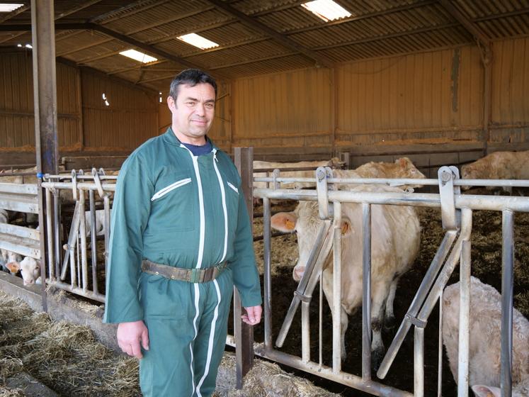 Le troupeau d'une vingtaine de mères charolaises permet notamment de valoriser les parcelles en coteaux.