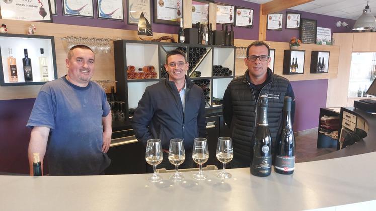 Mickaël, Anthony et Vincent Gueneau, les 3 frères et associés du Domaine de la Montcellière, à Trémont (Lys-Haut-Layon).