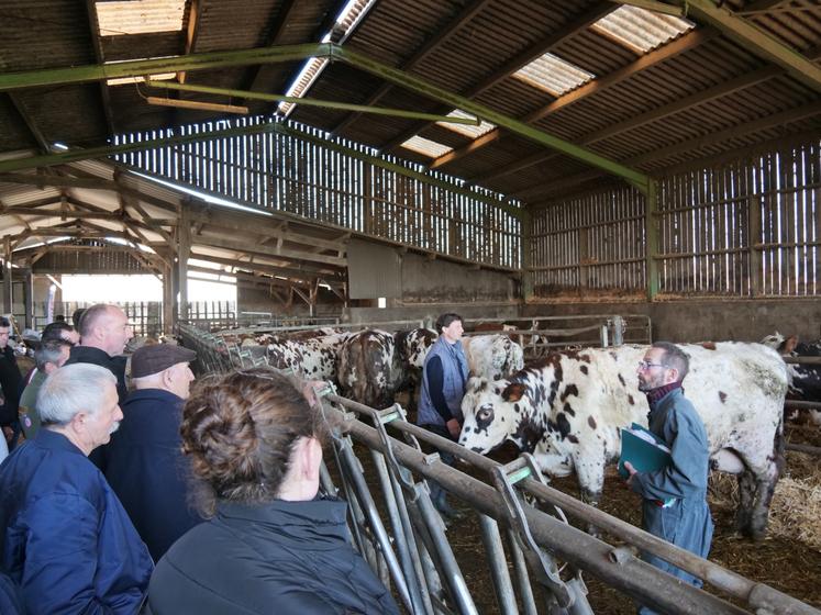 L'éleveur Michel Lemer et le technicien Evolution David Lebullenger ont présenté quelques vaches de l'élevage de Michel Lemer.
