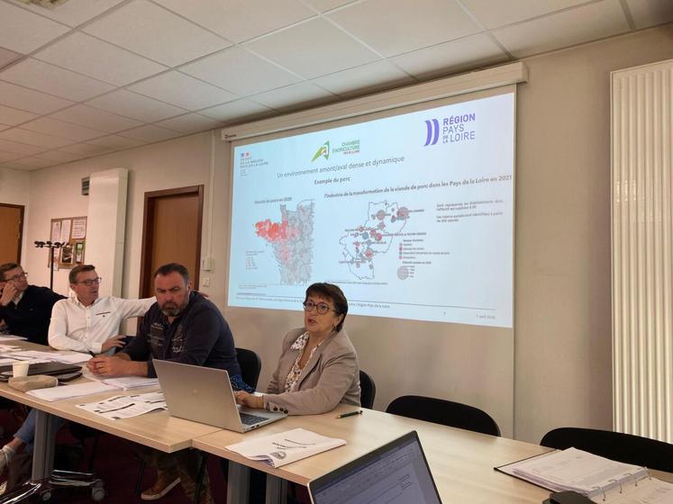 Christiane Lambert, référente nationale du groupe « viandes blanches », a présenté aux administrateurs FDSEA les ambitions des filières qui composent ce groupe.