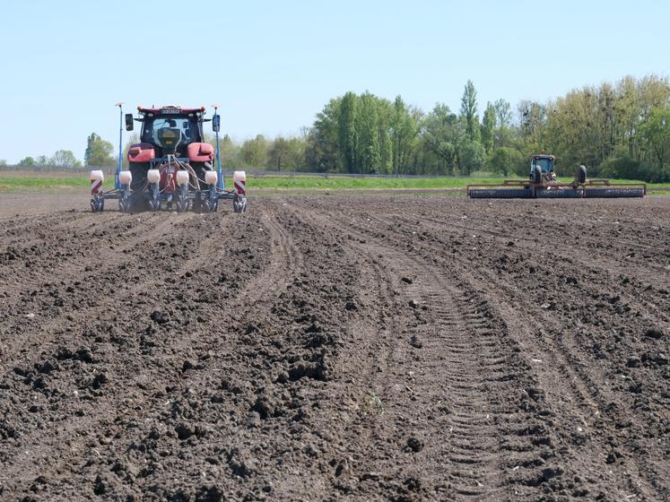 Après le semis, l'agriculteur procède au passage du rouleau pour favoriser la germination. 