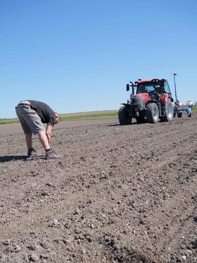 controle de la profondeur de semis