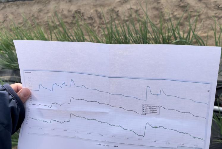 La sonde permet de visualiser les apports et la consommation de la plante. On distingue ici les deux premiers pics d'irrigation.