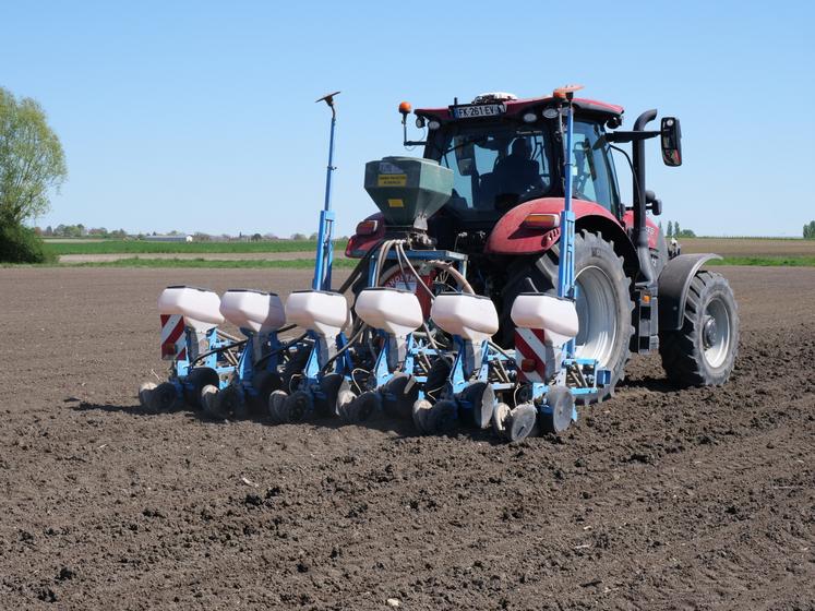 Mardi 7 avril, les semis de tournesol se terminent sur l'exploitation de Sébastien Derouineau. Après le semis, l'agriculteur procède au passage du rouleau pour favoriser la germination. 