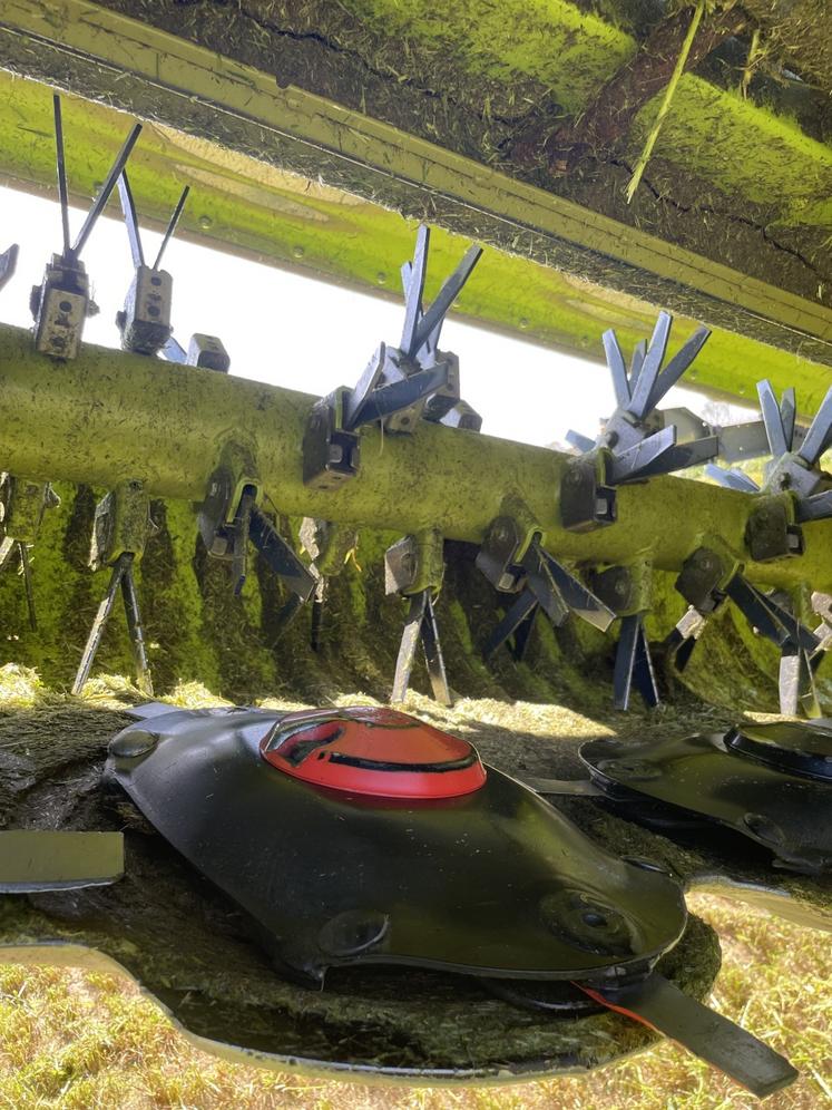 Les assiettes munies de deux couteaux sectionnent les tiges qui sont ensuite attrapées par le conditionneur.