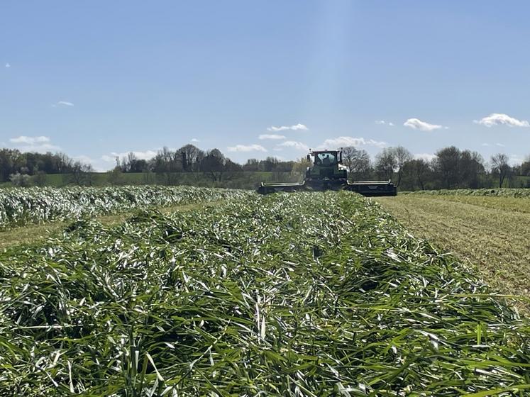 Lundi 30 mars, l'entreprise de travaux agricoles Agrimaine intervenait sur 20 ha du Gaec Bouteiller, à Contigné.