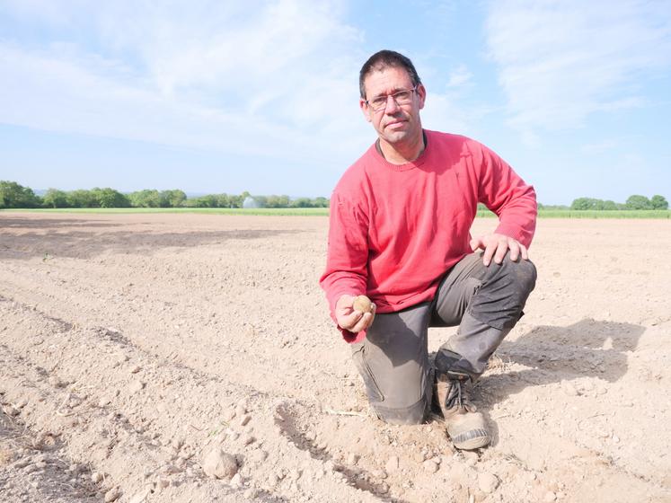 Arnaud Terrien, producteur de pommes de terre à Saint-Germain des Prés, à 100% en circuits courts.