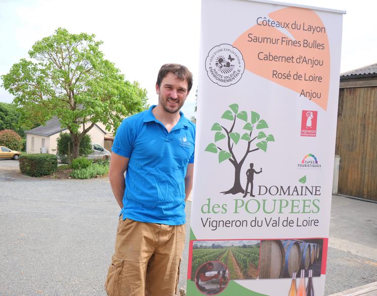 Clément Poupée, vigneron à Martigné-Briand, s'est inspiré de son nom de famille pour créer son nom de domaine et a repris le visuel du catalpa qui trône à l'entrée du domaine des Poupées.