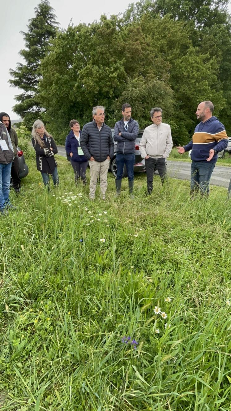 Gilles Paré, agriculteur à Beaufort-en-Anjou, a implanté une bande fleurie d'une quinzaine d'espèces en bordure d'une de ses parcelles.