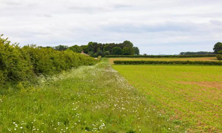 La mesure MAEC PHY5, ouverte en Pays de la Loire, est réservée aux exploitations qui ont moins de 10 UGB herbivores et qui ont pour objectif une forte diminution des IFT (minimum 20 % de cultures à Bas Niveau d'Intrants parmi les terres arables). Les engagements doivent se faire à la PAC comme les autres MAEC, d'ici le 15 mai. Un diagnostic devra ensuite être réalisé avant le 15 septembre 2026. Les agriculteurs bio sont éligibles à la mesure. En parallèle, pour les éleveurs herbagers, l'engage...