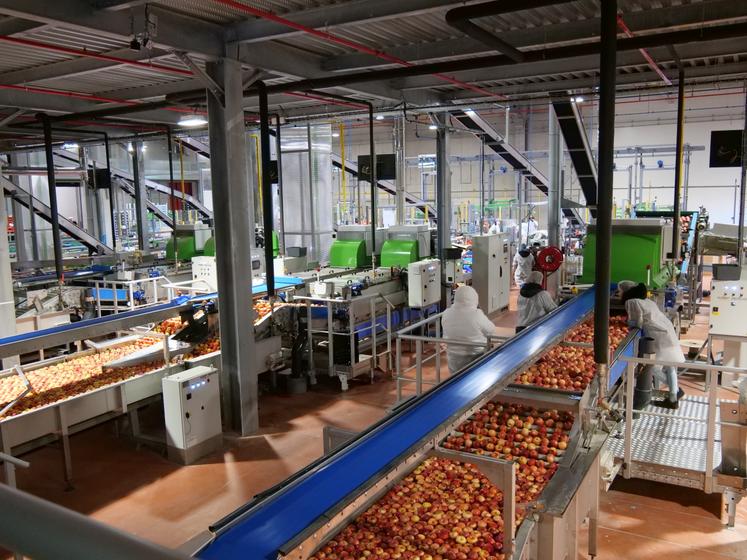 La station fruitière Océane d'Innatis à Verrières-en-Anjou (Saint-Sylvain d'Anjou) avait été livrée à l'automne 2023, pour un investissement de 30 millions d'euros. Elle est désormais propriété des Vergers d'Anjou. 