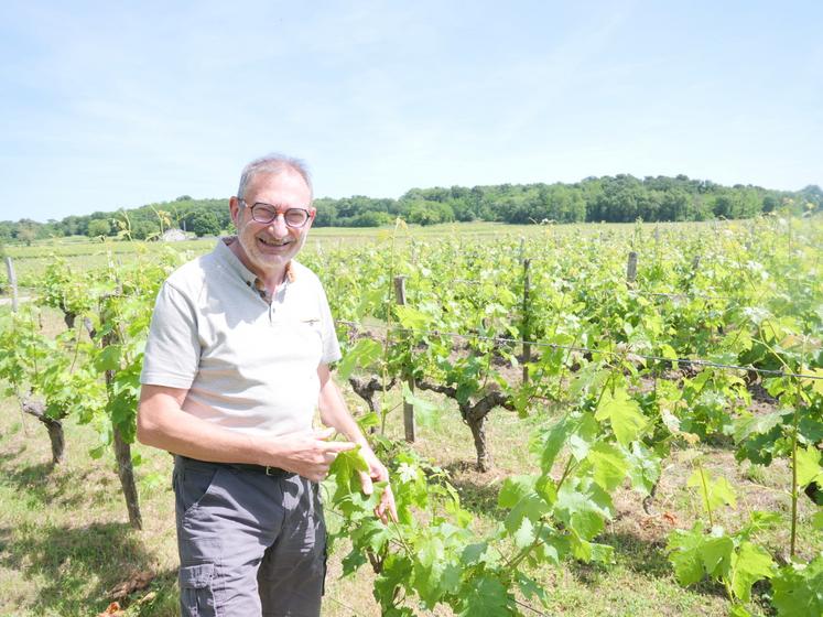 Jean Luc Mary apprécie aussi bien la production que la vinification ou le commerce du vin. Au 22 mai, la vigne commence à fleurir à Saumur.