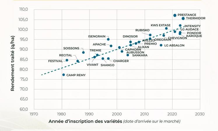 Les rendements en blé.