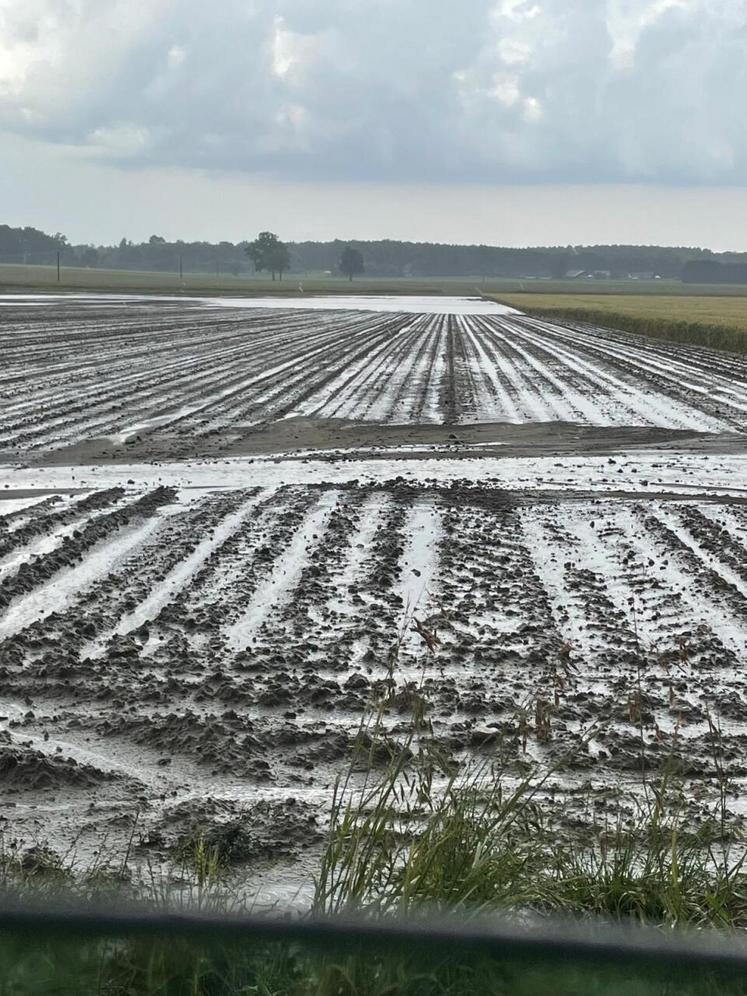 70 mm de pluie sont tombés dans la nuit du 30 au 31 mai à Bauné.