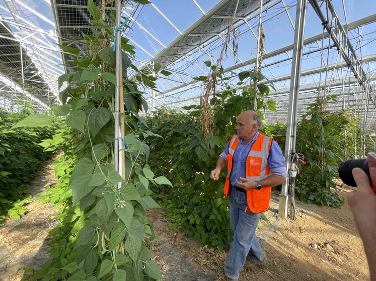 Hervé Lallaouret a fait construire une serre agrivoltaïque maraîchère de près de 4 ha. À droite, l'agriculteur charentais Johan Bernardin, qui l'a épaulé dans son projet.