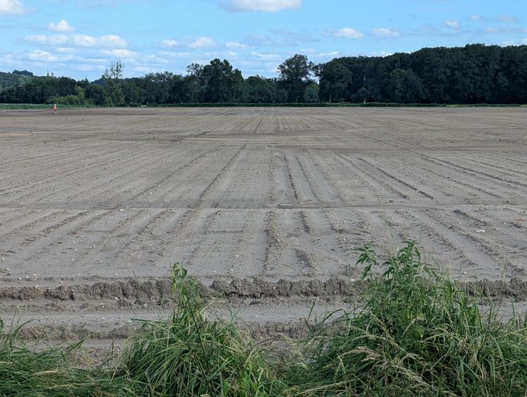 Dans le secteur de Bauné, l'orage du samedi 30 mai a provoqué de nombreux dégâts sur les cultures, y compris potagères, ainsi que des coulées de boue.