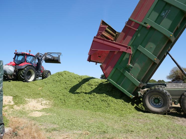De la paille a été étalée à la base du silo pour absorber les jus.