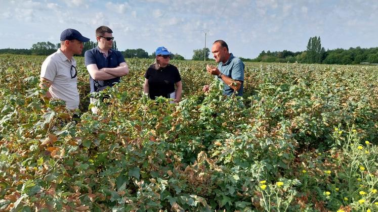 Mission d'enquête au Gaec Ludeau pour expertiser avec la DDT les pertes en cassis et groseilles en vue d'une indemnisation via l'ISN.