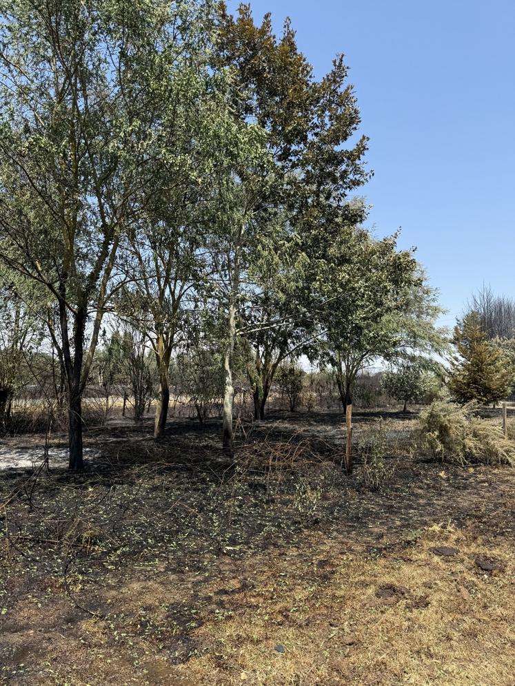 Le bocage a été très endommagé. De nombreuses clôtures sont détruites par le feu.
