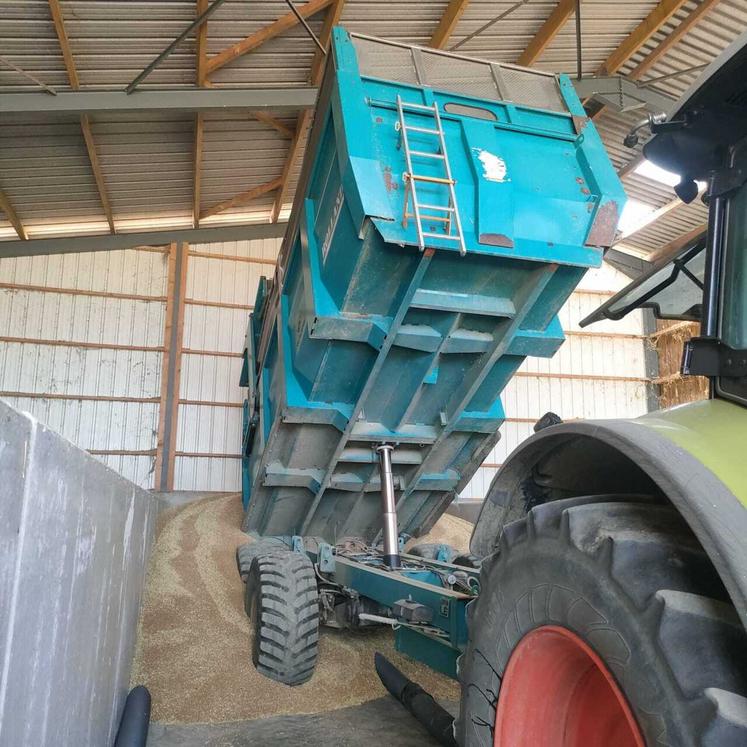 déchargement blé silo