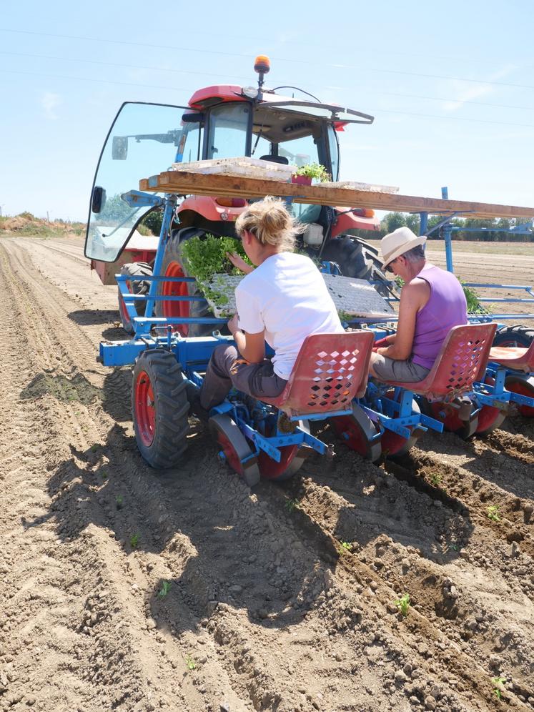 Jeudi 23 juillet, Edelweiss et Mirelle effectuent la plantation de scrofulaires.