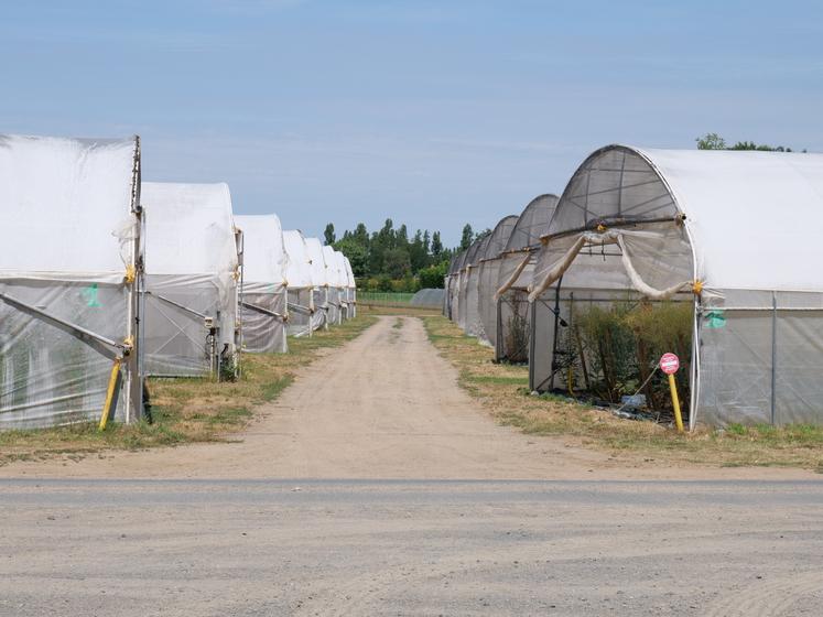 tunnels de production
