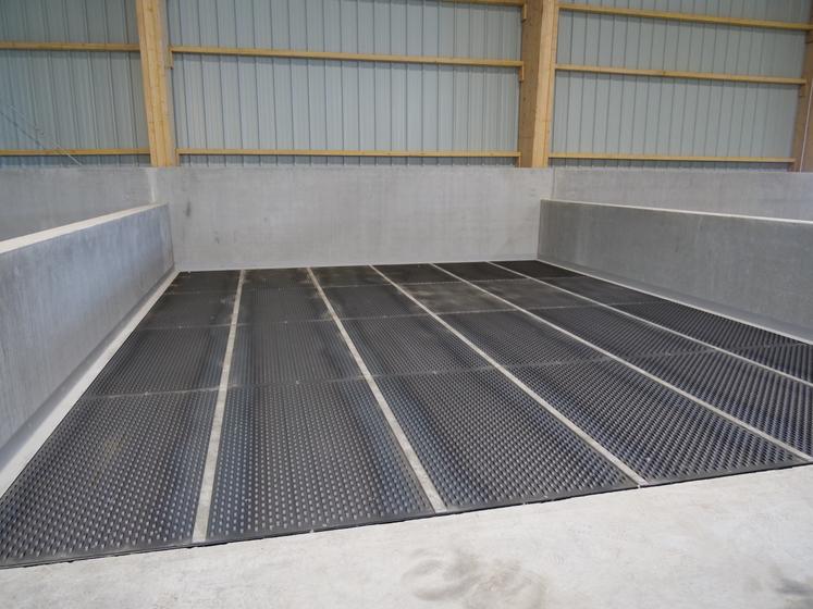 case de ventilation graines de courge