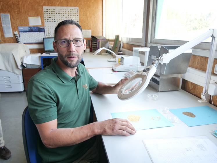 Florian Madiot, responsable du service micro-nettoyage, qui manie la pince à épiler pour trier l'échantillon.